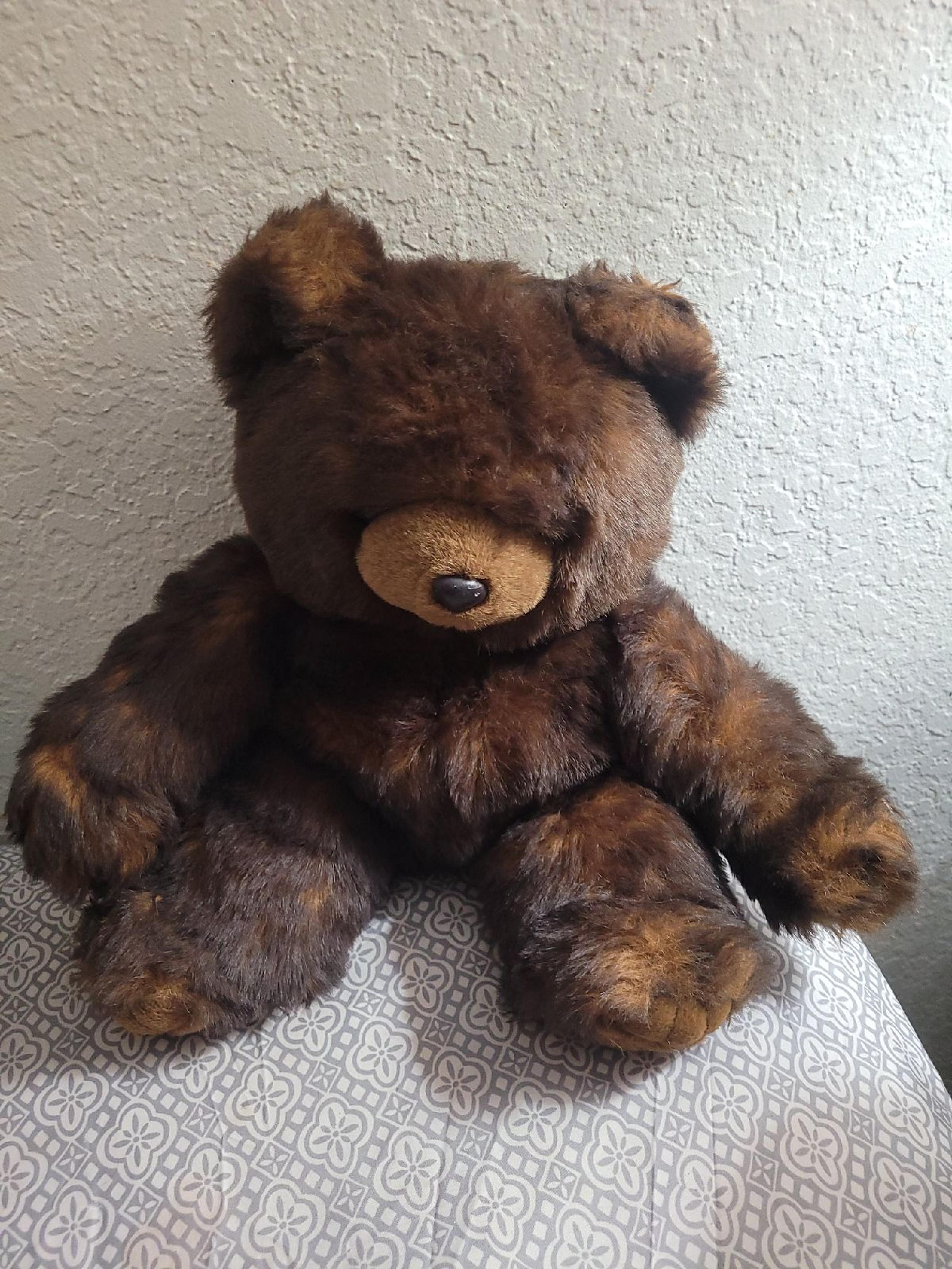 Bear