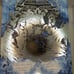 Deluxe SIGNED Daughter of Smoke and Bone Boxed Trilogy set - Hardcover SOLDOUT