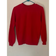 Hanna Andersson HA Boys RED SWEATSHIRT Basics Sweatshirt Sz150cm/12 School 40