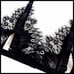 Fashion Nova Women’s Luxe Sexy Floral Lace Garter Belt Lingerie Set, NWT