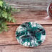 Acrylic Paint Coasters have high gloss resin, 4 piece green, white, and black