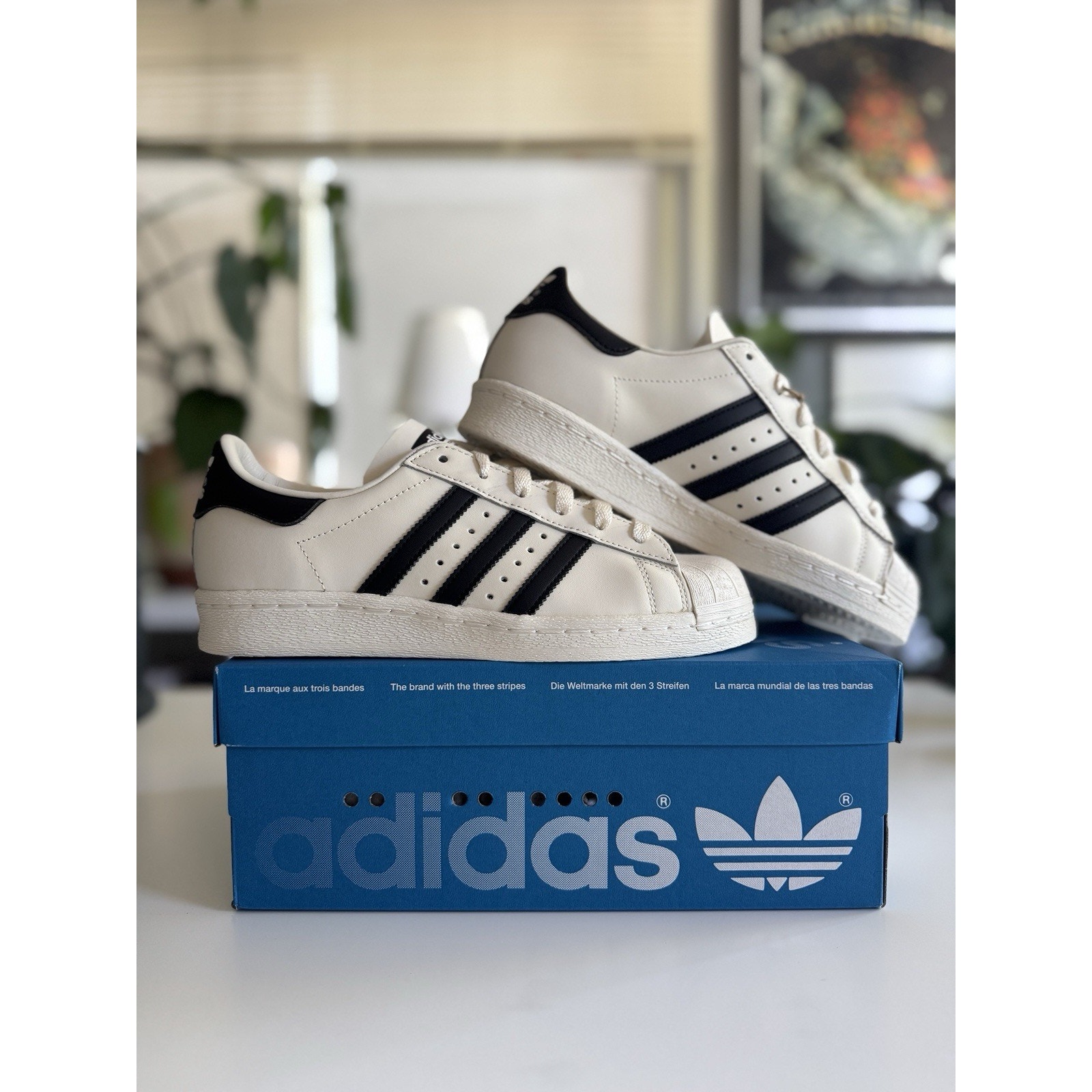 adidas Superstar 82 Off White Black H06258 Size 6M/7.5W Sneakers