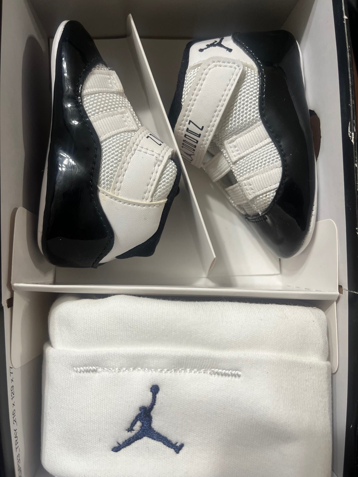 Jordan 11 concord