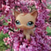 Littlest pet shop cat doll