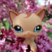 Littlest pet shop cat doll