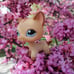 Littlest pet shop cat doll