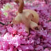 Littlest pet shop cat doll