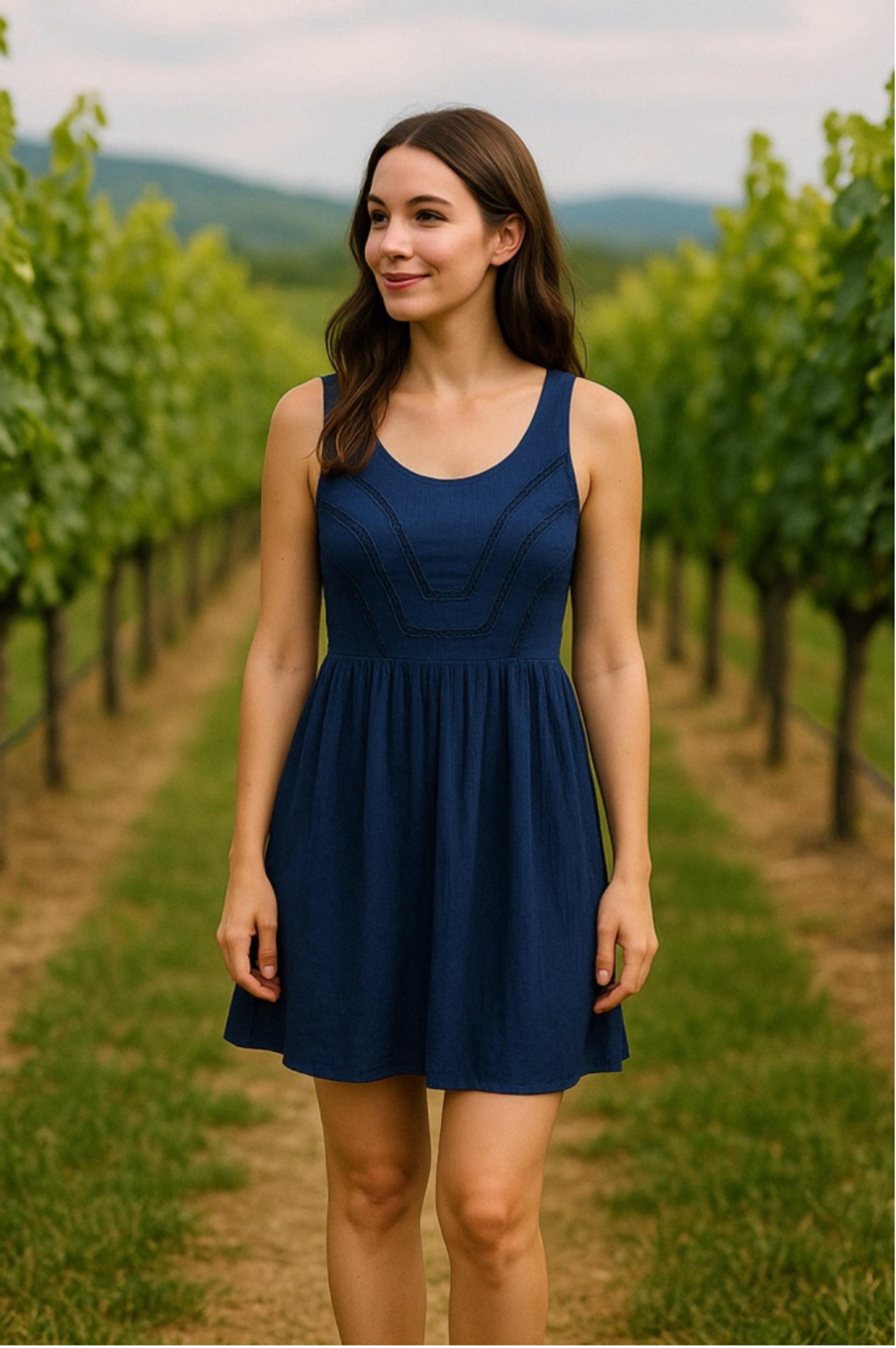 Princess Vera Wang Navy Mini Dress Embroidered XS Coquette Garden Party Spring