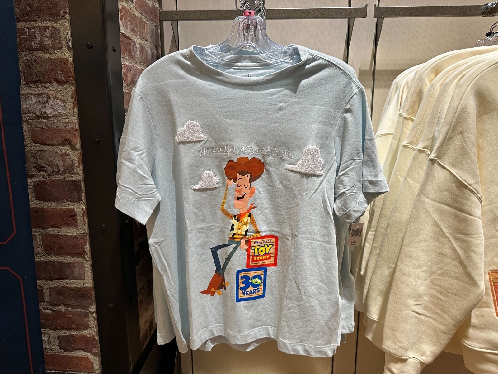 Disney  Toy Story 30ty Anniversary T shir WDW 2025