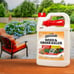Weed & Grass Killer, Ready-to-Use, 1-Gallon