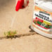 Weed & Grass Killer, Ready-to-Use, 1-Gallon