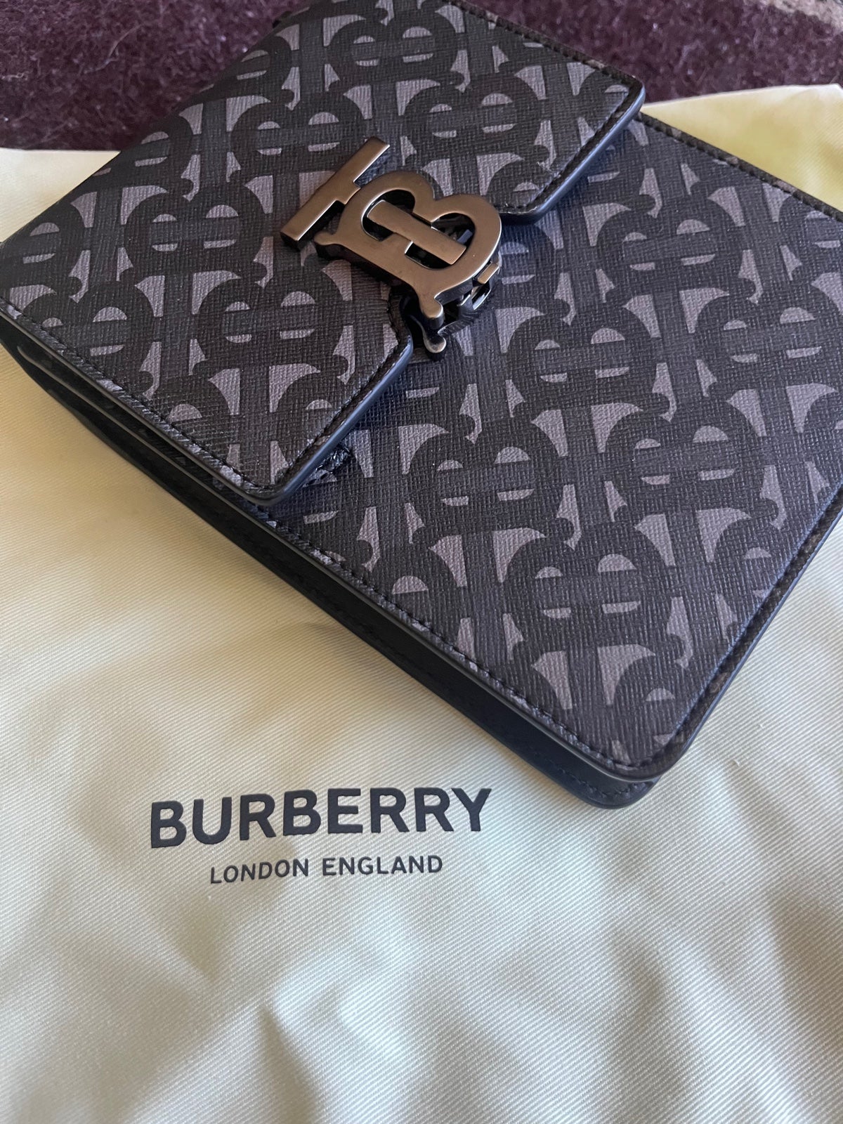Burberry Robin bag