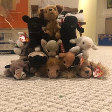 Beanie Lot of 1998 TY beanie babies 90s mistake tags