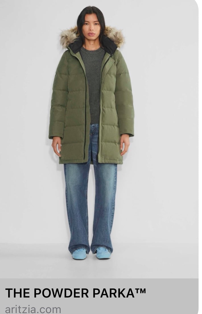 Aritzia Powder Parka