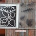 Stampin Up - Vintage Leaves with Leaflets Dies