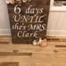 Custom made Bridal Shower painting
