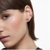 Swarovski 5378694 Lilia stud earrings Pink Butterfly Set Rose Gold NWT