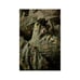 Ikea KARRDUNORT Full/Queen Duvet Cover w/2 Pillowcases Bed Set Dark Green/Floral