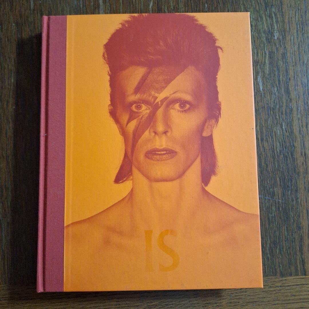 First Edition: DAVID BOWIE IS / David Bowie Is: A Retrospective Exhibition Catalogue