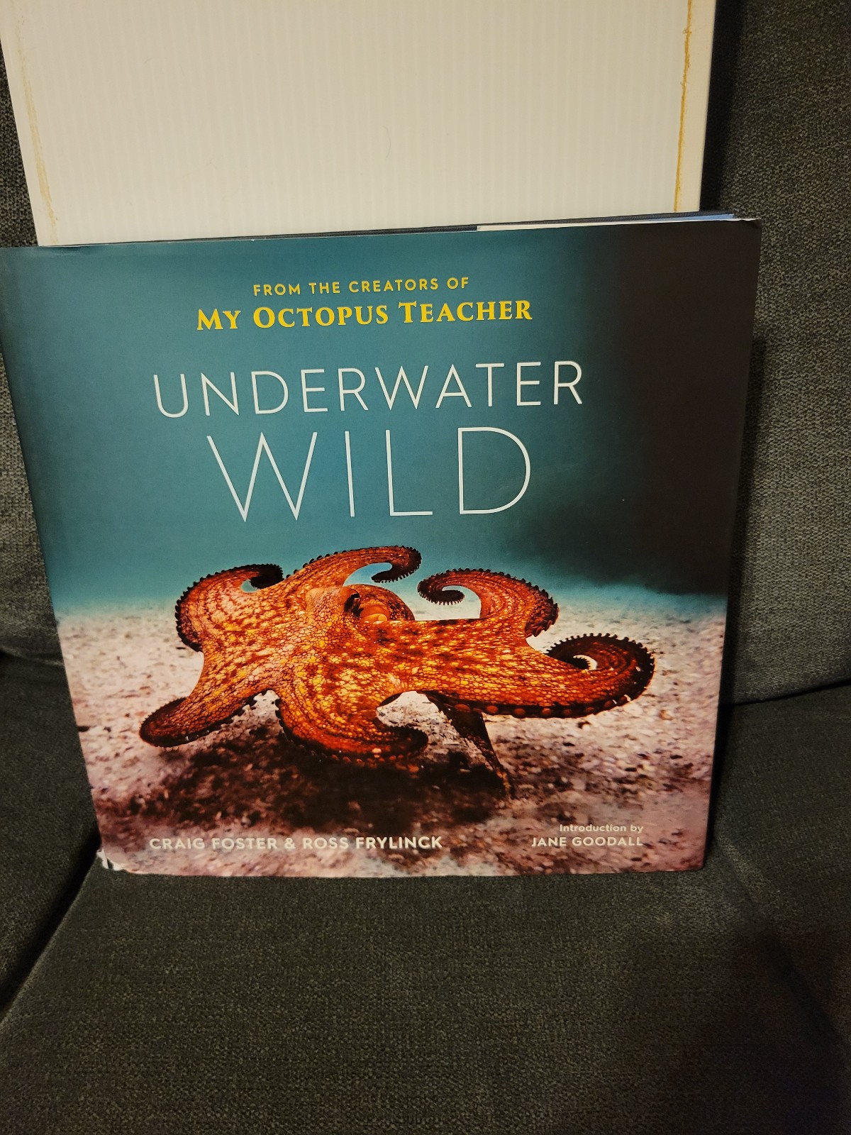 Underwater Wild