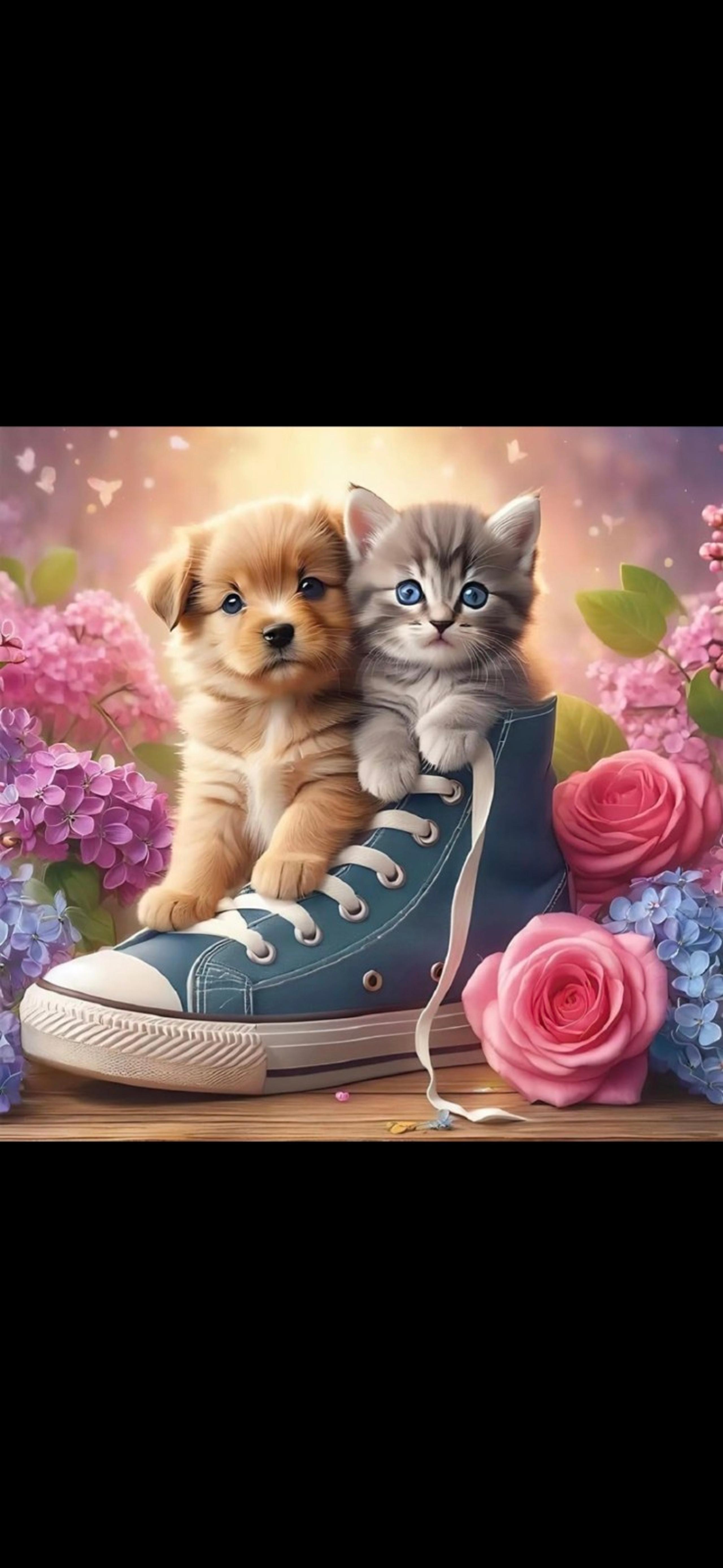 Puppy and Kitty Floral Sneaker 5D Diamond Painting Kit New