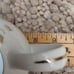 Signature Collection Coronet fine china gravy boat pink blue floral silver trim