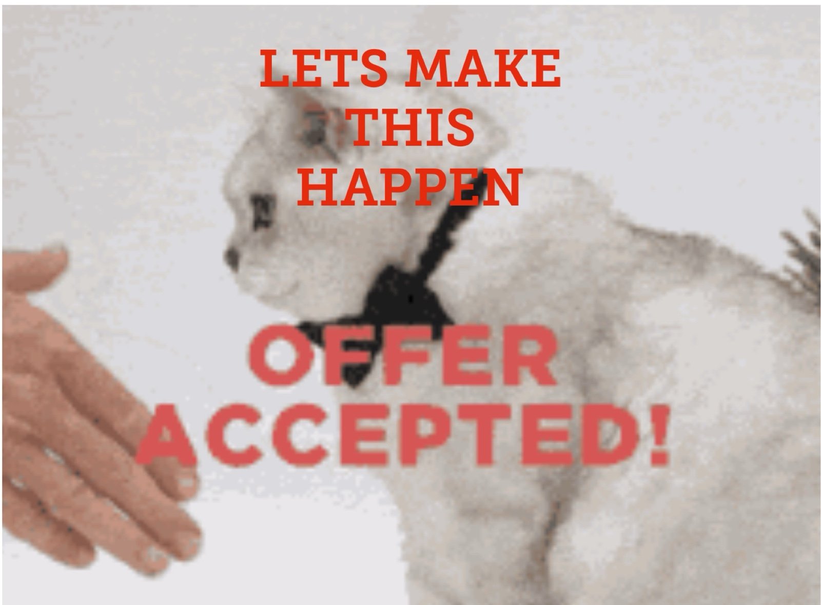 I accept all reasonable offers