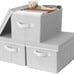 Gray and white stripes Storage Bins for Organizing bwr34