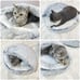 POOCH-LABS Plush Pet Bed
