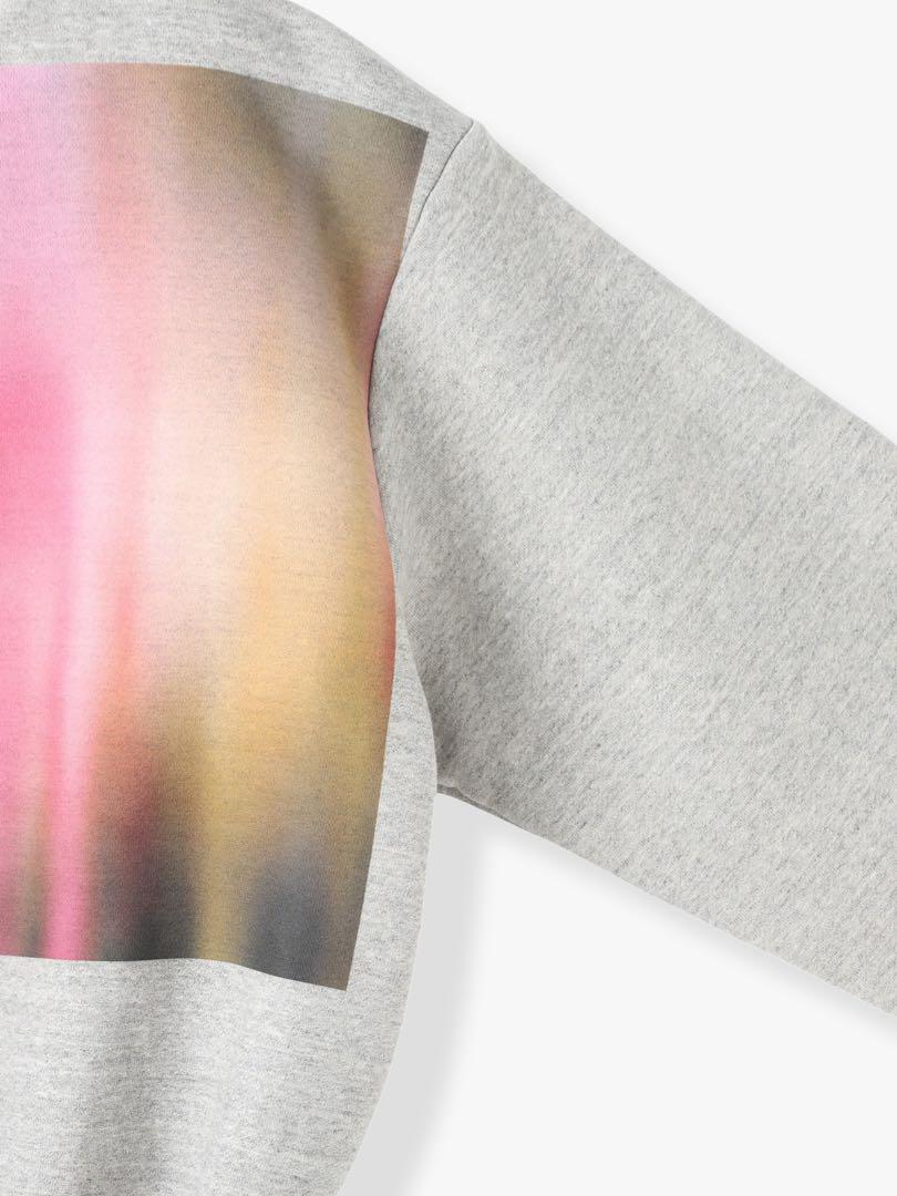 公式の店舗 Ron Herman TANAKA The Sweat Pullover (gray) Hooded トップス