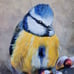 SPRING SALE! Blue Tit Bird Original acrylic painting 8 ×10 art decor