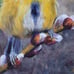 SPRING SALE! Blue Tit Bird Original acrylic painting 8 ×10 art decor