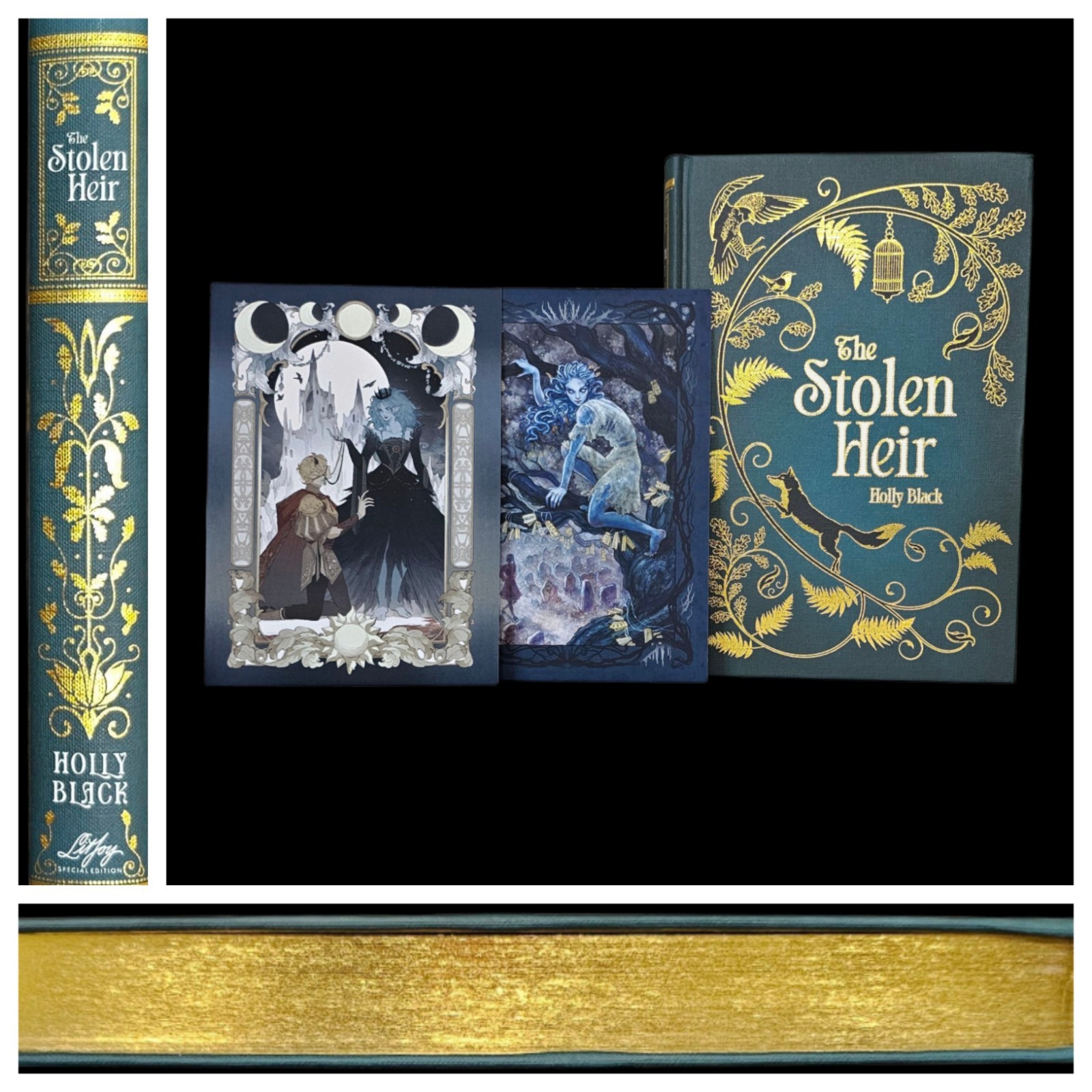 Litjoy The Stolen Heir Annoted Special Edition