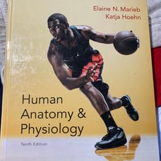 Anatomy and physiology edition 10 book