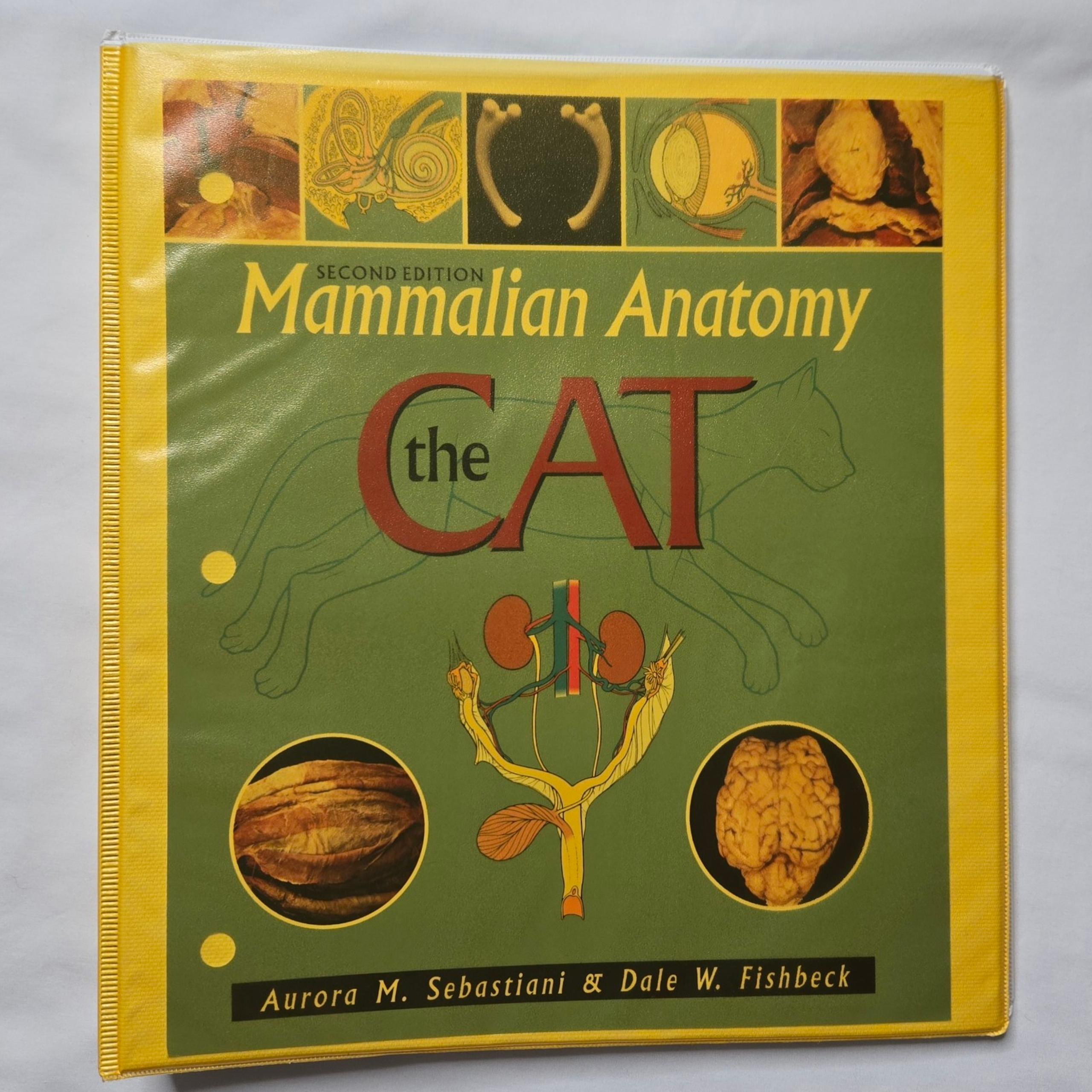 Mammalian Anatomy: The Cat 2nd Edition Book