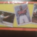 topps 1995 baseball card factory sealed