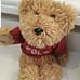 Pair of CUTE 2002 POLO Ralph Lauren 9 Plush Teddy Bear w/ POLO Sweaters SO CUTE