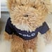 Pair of CUTE 2002 POLO Ralph Lauren 9 Plush Teddy Bear w/ POLO Sweaters SO CUTE