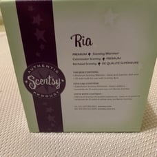 Scentsy Warmer