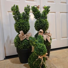 Easter Bunny Boxwood Topiary set 2 trees 33 in & 1 Bunny 16 in (Set of 3)