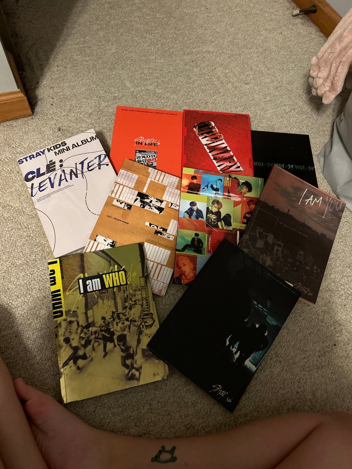 Stray kids Collection