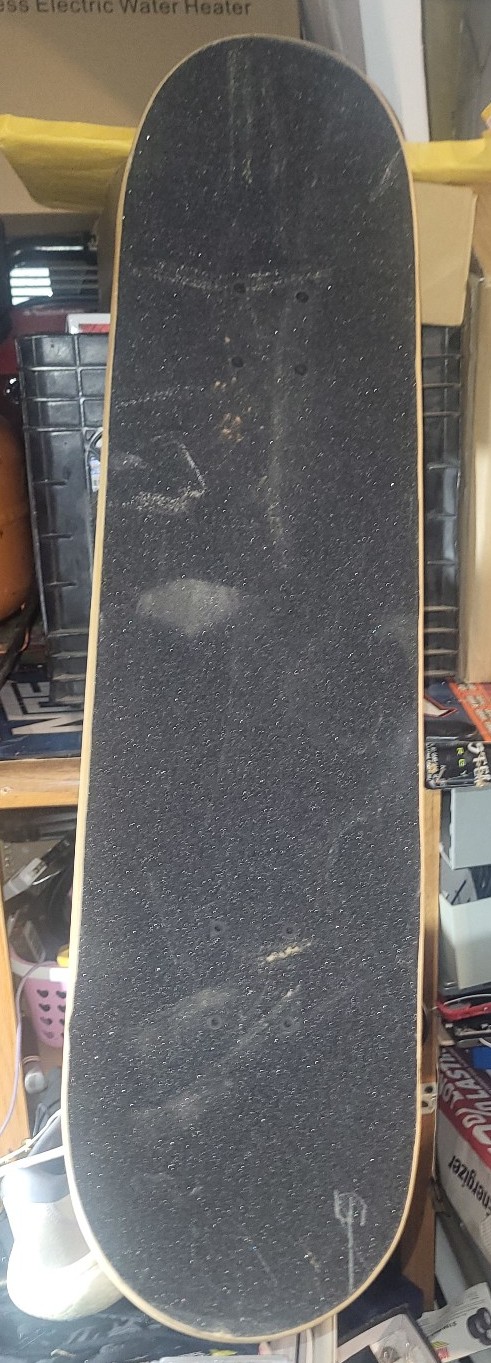 NWT Element Skateboard