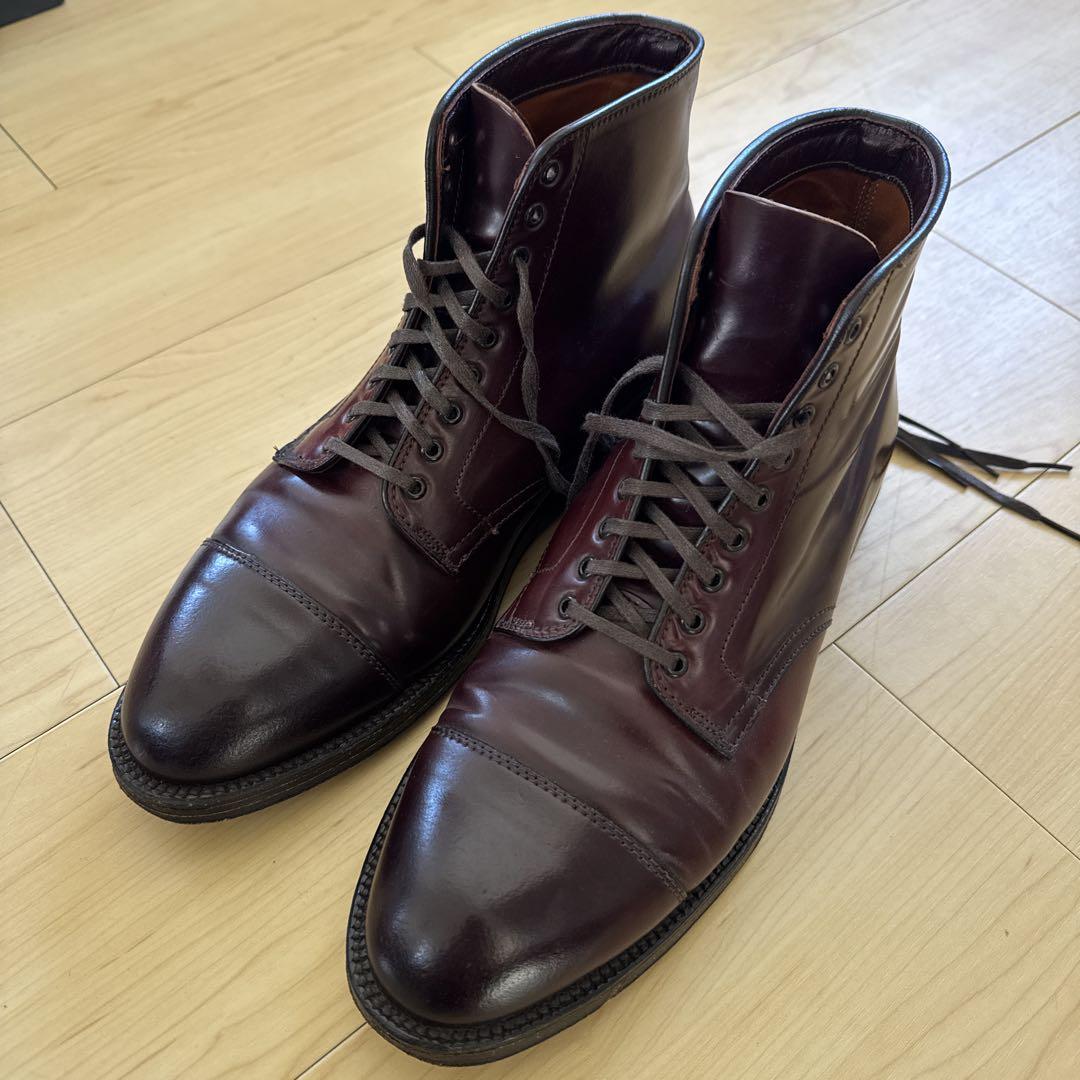 Alden 4060 9.5D with shoe trees.