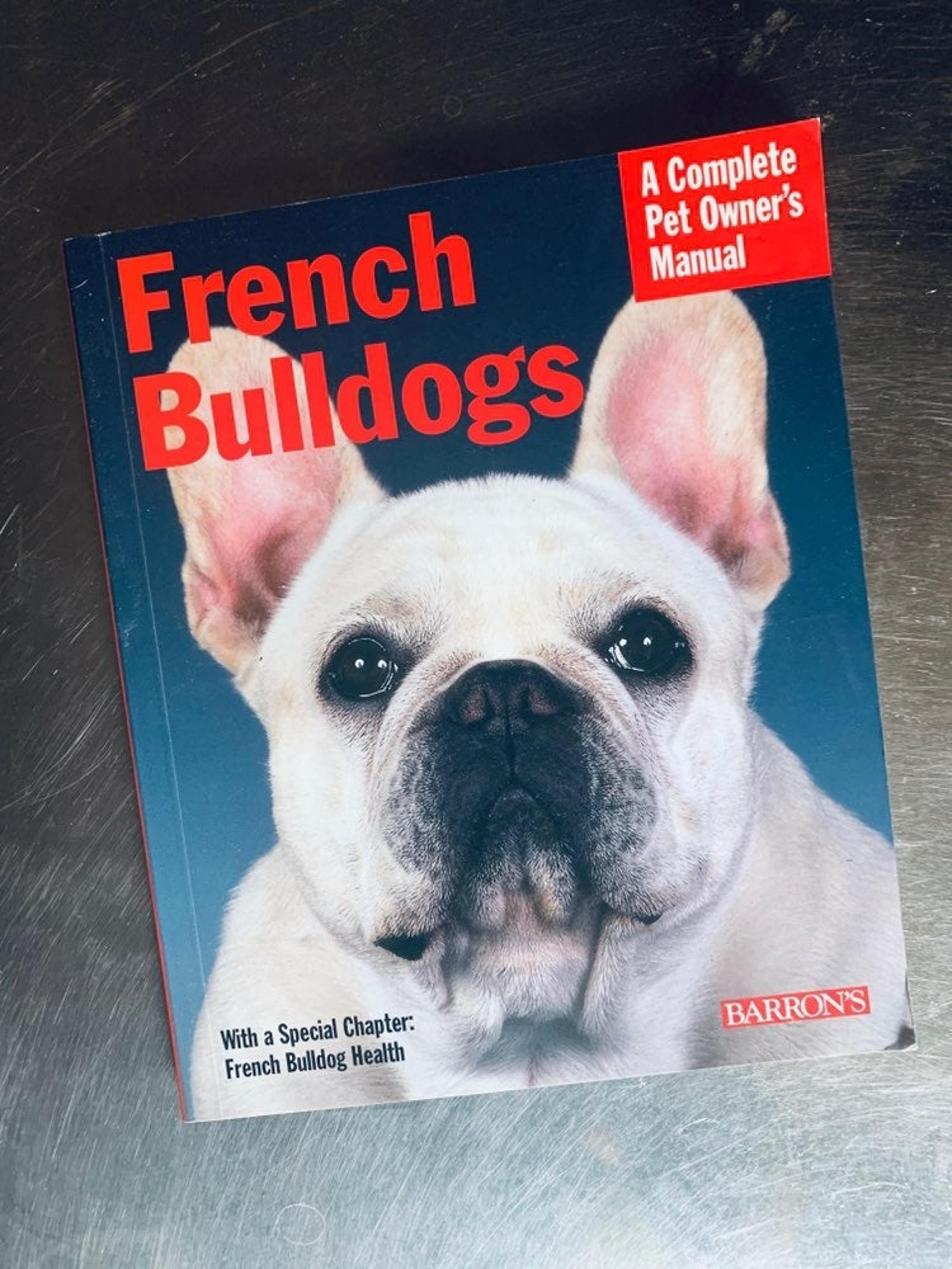 'French Bulldogs'