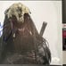 Dane DiLiegro Signed Prey 8x10 Photo D Autograph Predator JSA COA