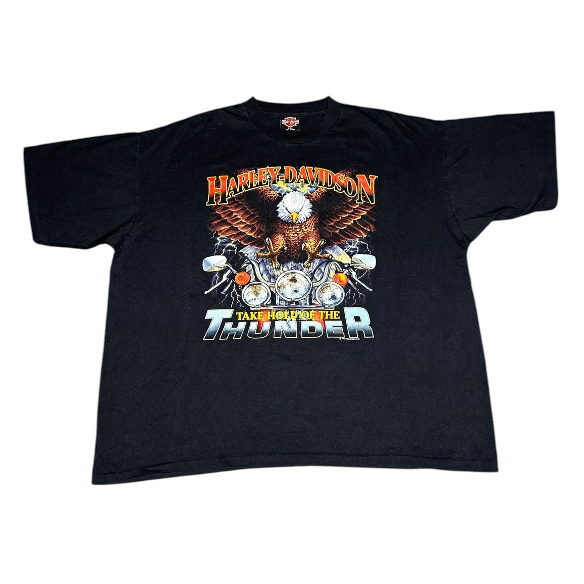 Vintage 90s Harley Davidson Take Hold of The Thunder Dallas Texas T-Shirt