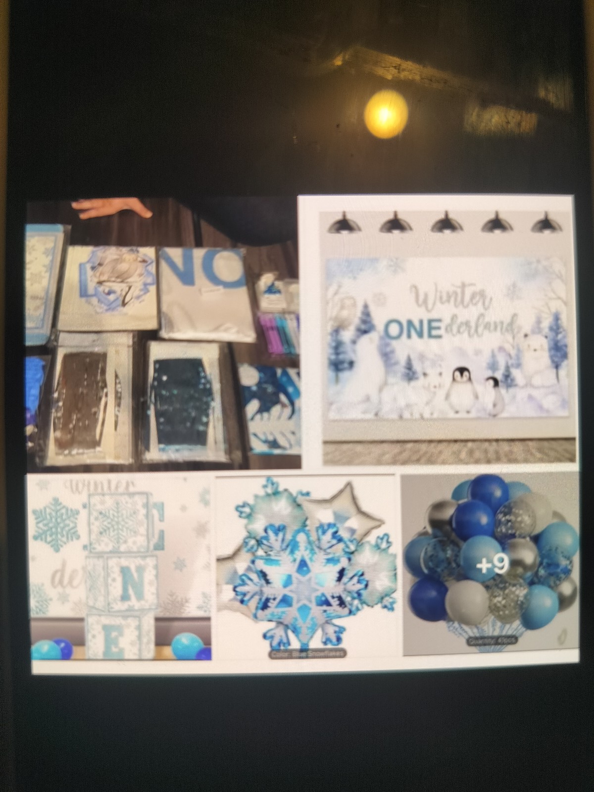 Winter party decorations