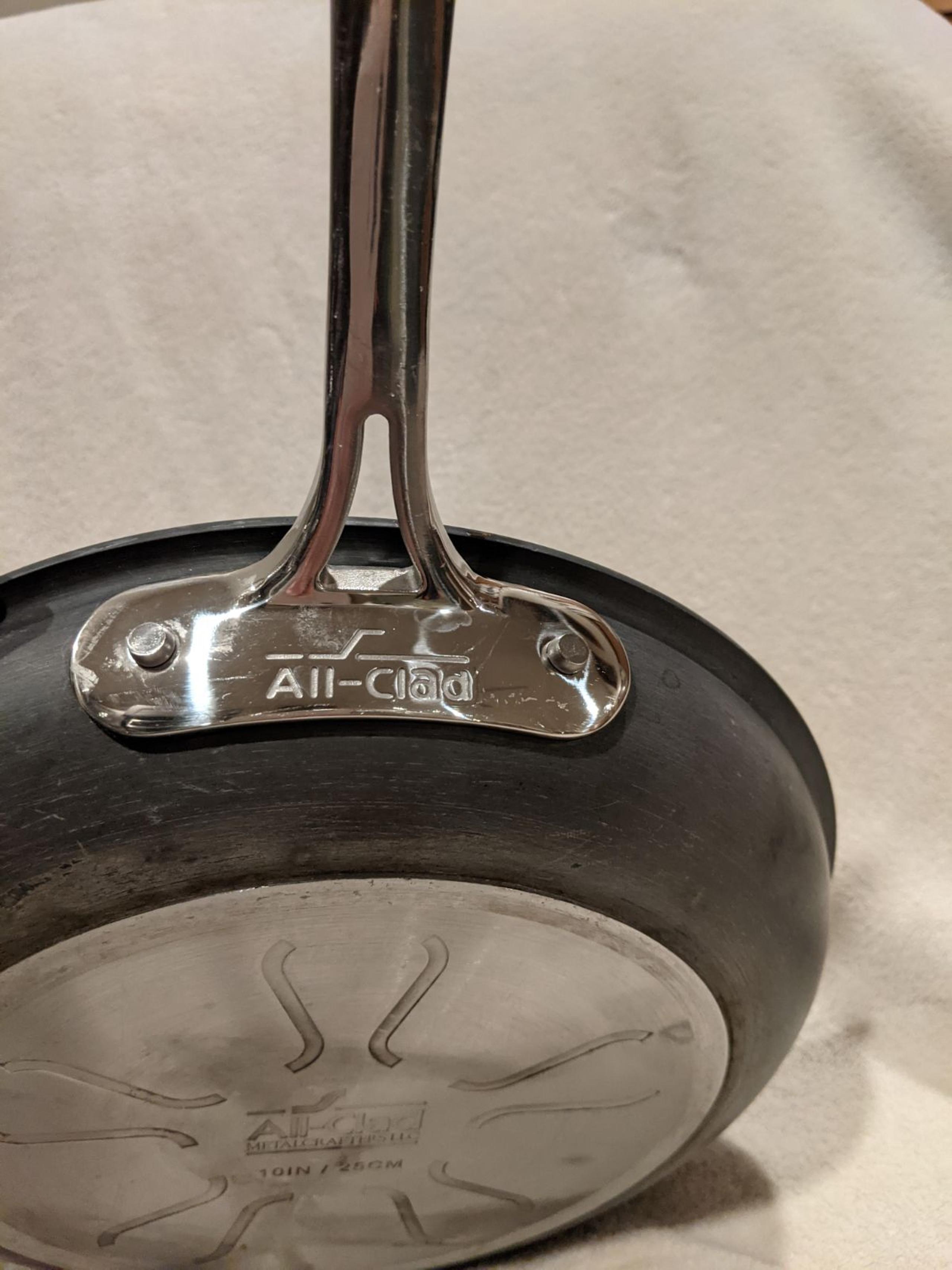 All clad 10"