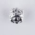 Authentic Pandora FAMILY CHARM