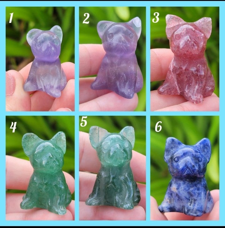 WOW! New Frenchies Arrivals!!